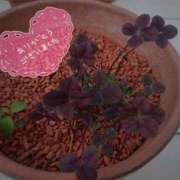 ヒメ日記 2025/10/06 11:23 投稿 ちよ未経験 マダム可憐