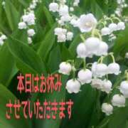 ヒメ日記 2025/11/04 10:05 投稿 ちよ未経験 マダム可憐