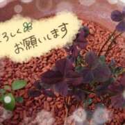 ヒメ日記 2026/02/04 11:40 投稿 ちよ未経験 マダム可憐