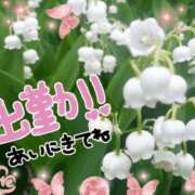 ヒメ日記 2026/03/04 10:35 投稿 ちよ未経験 マダム可憐