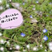 ヒメ日記 2026/03/10 16:07 投稿 ちよ未経験 マダム可憐