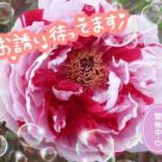 ヒメ日記 2026/03/15 02:33 投稿 ちよ未経験 マダム可憐