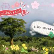 ヒメ日記 2026/03/20 10:02 投稿 ちよ未経験 マダム可憐