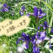 ヒメ日記 2026/03/22 18:59 投稿 ちよ未経験 マダム可憐