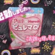 ヒメ日記 2026/03/26 11:29 投稿 ちよ未経験 マダム可憐