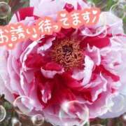 ヒメ日記 2026/03/29 12:48 投稿 ちよ未経験 マダム可憐