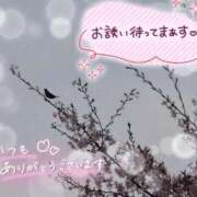 ヒメ日記 2026/04/03 03:59 投稿 ちよ未経験 マダム可憐