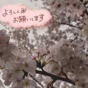 ちよ未経験 次回💕 マダム可憐