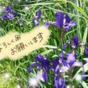 ヒメ日記 2026/04/10 12:14 投稿 ちよ未経験 マダム可憐