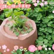 ヒメ日記 2026/04/13 01:54 投稿 ちよ未経験 マダム可憐