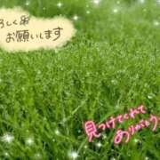 ヒメ日記 2026/04/26 09:30 投稿 ちよ未経験 マダム可憐