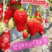ヒメ日記 2026/06/10 07:38 投稿 ちよ未経験 マダム可憐
