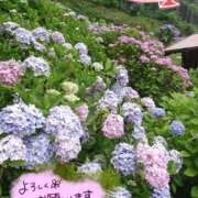 ヒメ日記 2026/06/17 13:25 投稿 ちよ未経験 マダム可憐