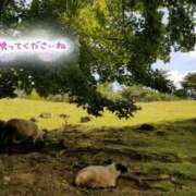 ヒメ日記 2026/07/11 10:43 投稿 ちよ未経験 マダム可憐