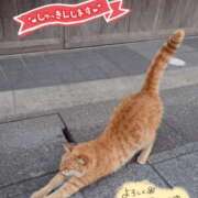 ヒメ日記 2026/08/10 13:49 投稿 ちよ未経験 マダム可憐