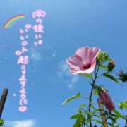 ヒメ日記 2026/08/16 11:22 投稿 ちよ未経験 マダム可憐