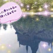 ヒメ日記 2026/09/24 11:02 投稿 ちよ未経験 マダム可憐