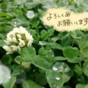 ちよ未経験 明日です💕 マダム可憐