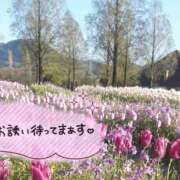 ヒメ日記 2026/10/23 14:52 投稿 ちよ未経験 マダム可憐