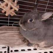 ヒメ日記 2025/10/15 00:16 投稿 龍宮寺はな とびきりかわいい専門～You:More～