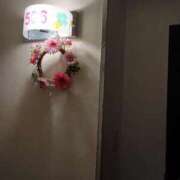 ヒメ日記 2026/02/12 21:16 投稿 龍宮寺はな とびきりかわいい専門～You:More～