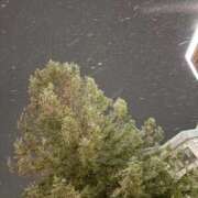 ヒメ日記 2026/01/11 21:26 投稿 神山ちふゆ とびきりかわいい専門～You:More～