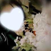 ヒメ日記 2026/04/08 14:26 投稿 神山ちふゆ とびきりかわいい専門～You:More～