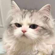 ヒメ日記 2025/12/22 11:02 投稿 小山みり とびきりかわいい専門～You:More～