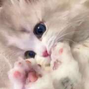 ヒメ日記 2025/12/23 15:54 投稿 小山みり とびきりかわいい専門～You:More～