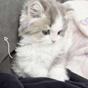 ヒメ日記 2025/12/31 11:51 投稿 小山みり とびきりかわいい専門～You:More～