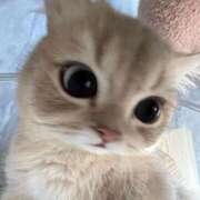 ヒメ日記 2026/01/14 17:36 投稿 小山みり とびきりかわいい専門～You:More～