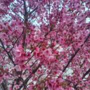 ヒメ日記 2026/04/02 06:16 投稿 小粒うめ とびきりかわいい専門～You:More～