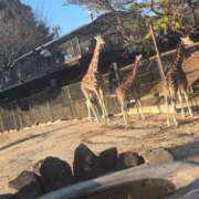 ヒメ日記 2025/11/24 14:16 投稿 高橋ことみ【優】 とびきりかわいい専門～You:More～