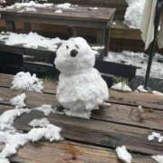 ヒメ日記 2026/02/17 12:46 投稿 ひなこ 白いぽっちゃりさん五反田店