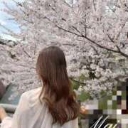 ヒメ日記 2026/04/09 18:17 投稿 春風 まい Canx2京都店