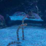 ヒメ日記 2025/09/17 22:31 投稿 りお One More 奥様　池袋店