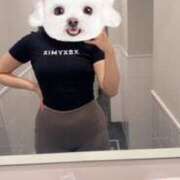 ヒメ日記 2025/09/16 11:15 投稿 きなこ バイオレンス