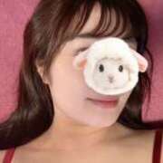 ヒメ日記 2025/11/11 06:55 投稿 きなこ バイオレンス