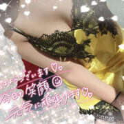 ヒメ日記 2025/10/23 11:24 投稿 せな デリピン　ハワイ