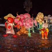 もち (*ºчº*)ま ハピネス＆ドリーム 松山道後温泉