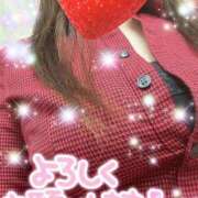 ヒメ日記 2025/09/25 11:05 投稿 ちかげ 熟女家 ミナミエリア店