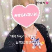 ヒメ日記 2026/08/23 11:05 投稿 ちかげ 熟女家 ミナミエリア店