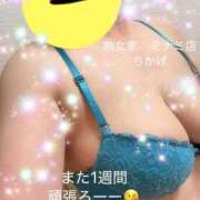 ヒメ日記 2026/08/31 06:05 投稿 ちかげ 熟女家 ミナミエリア店