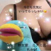 ヒメ日記 2026/09/02 06:25 投稿 ちかげ 熟女家 ミナミエリア店