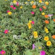 ヒメ日記 2026/10/08 08:25 投稿 ちかげ 熟女家 ミナミエリア店