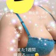 ヒメ日記 2026/10/13 06:45 投稿 ちかげ 熟女家 ミナミエリア店