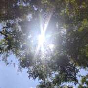 ヒメ日記 2025/09/20 10:00 投稿 野原るう セカンドパートナー