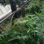 ヒメ日記 2025/09/21 23:05 投稿 野原るう セカンドパートナー