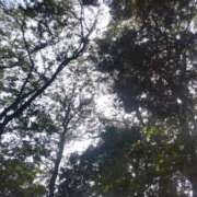 ヒメ日記 2025/09/28 13:55 投稿 野原るう セカンドパートナー