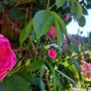 ヒメ日記 2025/10/10 22:15 投稿 野原るう セカンドパートナー